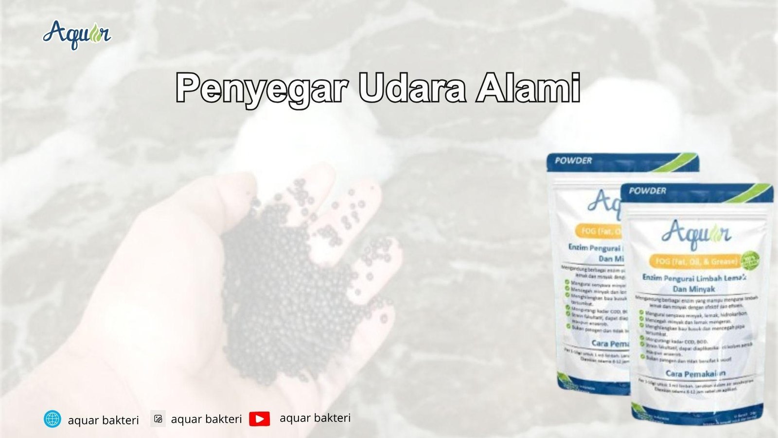 Penyegar Udara Alami