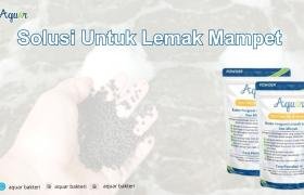 Solusi Untuk Lemak Mampet