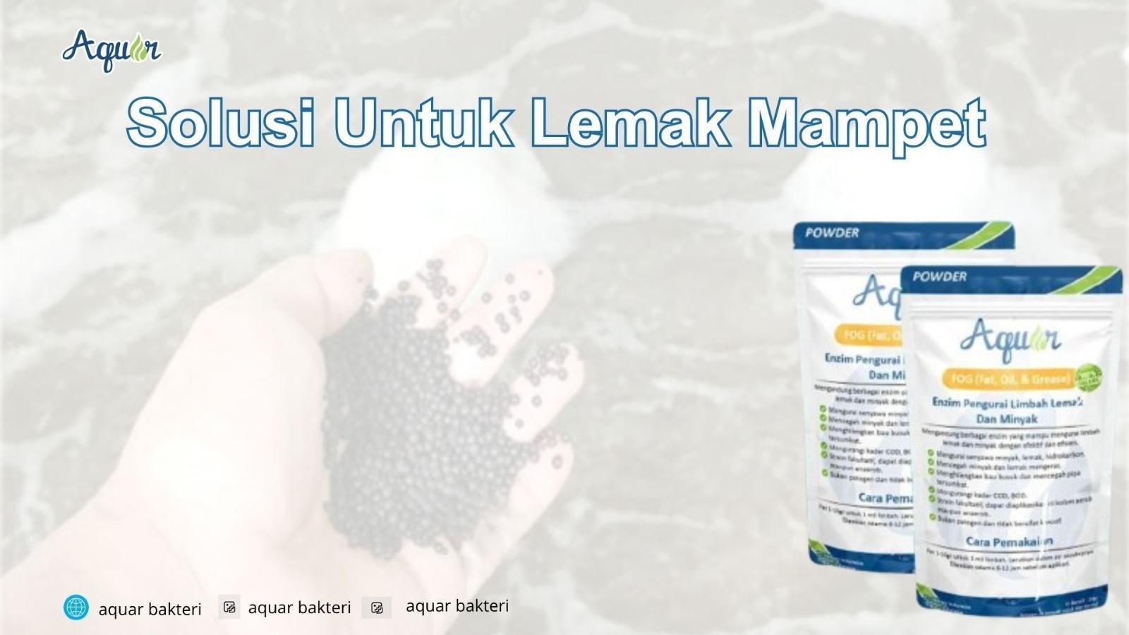 Solusi Untuk Lemak Mampet