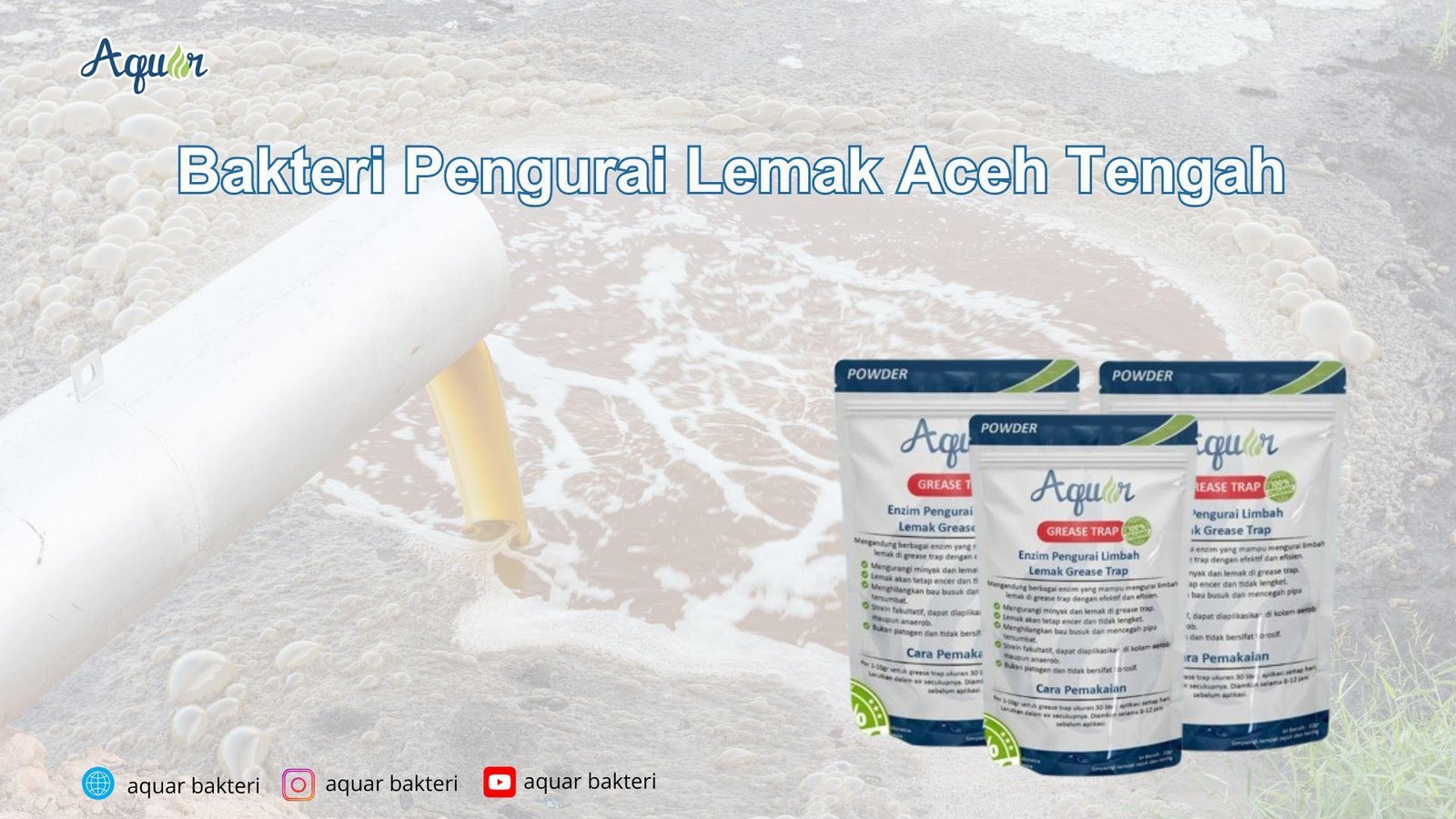 Bakteri Pengurai Lemak Aceh Tengah