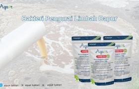 Bakteri Pengurai Limbah Dapur