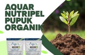 Aquar NutriPel Pupuk Tanaman