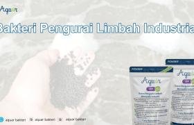 Bakteri Pengurai Limbah Industrial