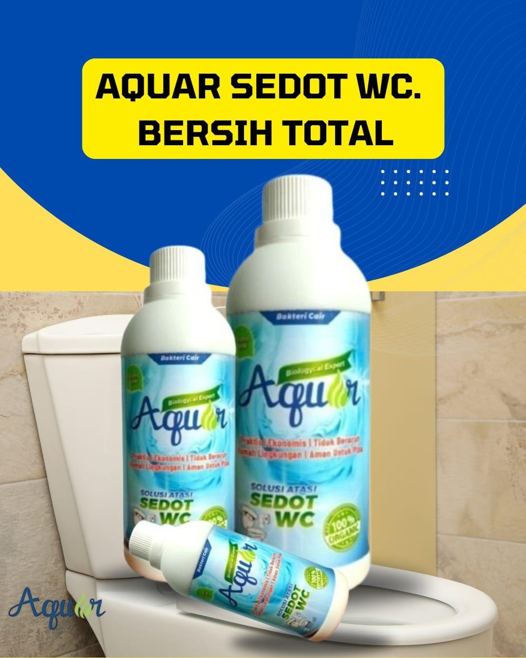 Solusi WC Mampet Tanpa Sedot WC