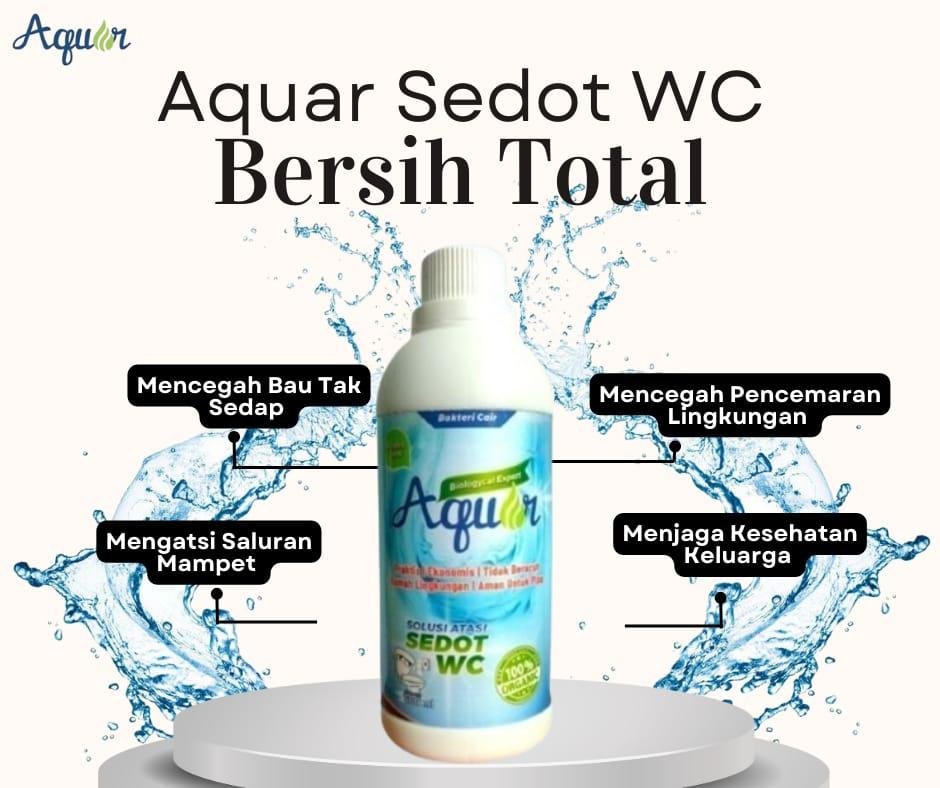 Solusi WC Mampet Tanpa Sedot WC