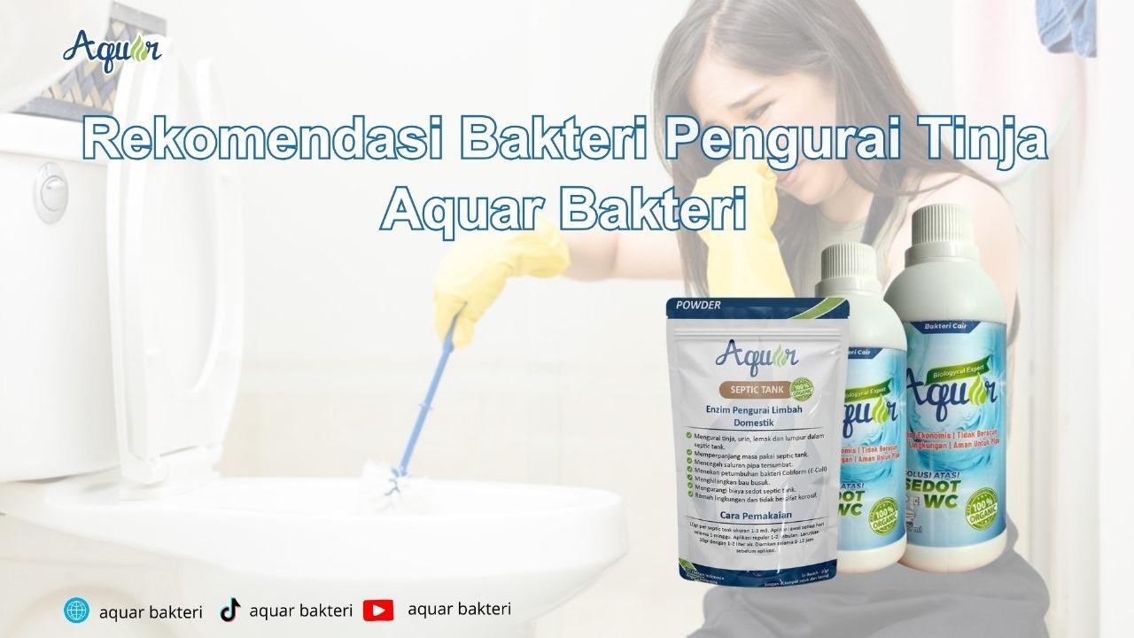 Pengurai Bakteri Septic Tank