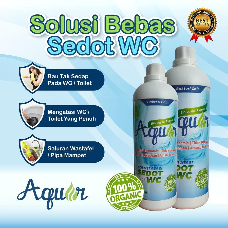 Apa Solusi WC Mampet