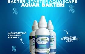 Jual Bakteri Starter Aquascape