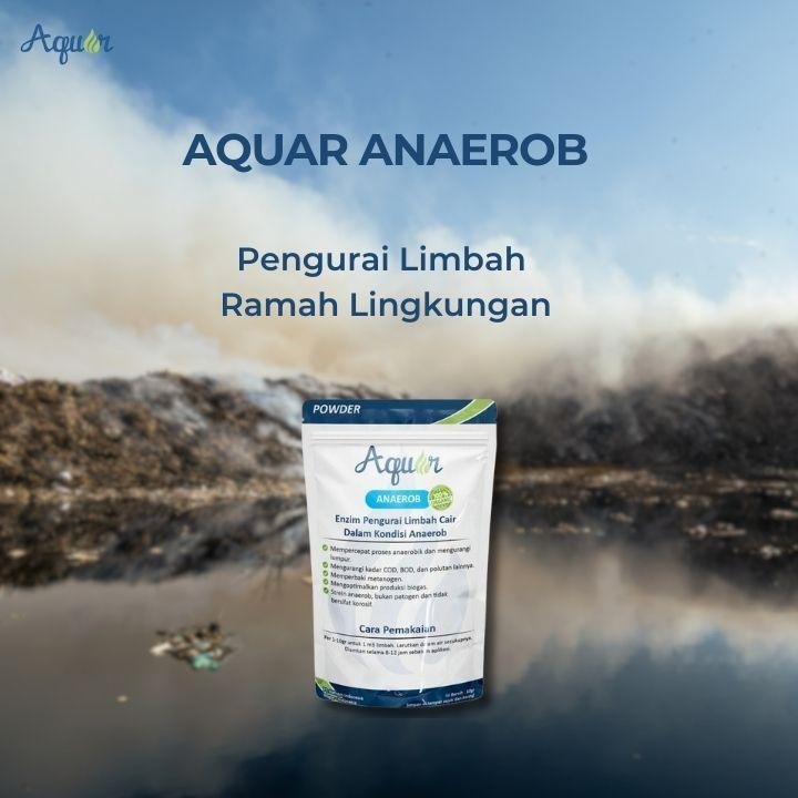 Bakteri Anaerob Untuk Limbah-1