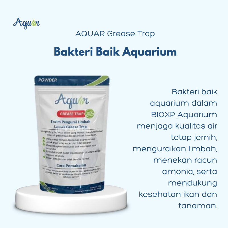 Bakteri Baik Aquarium murah