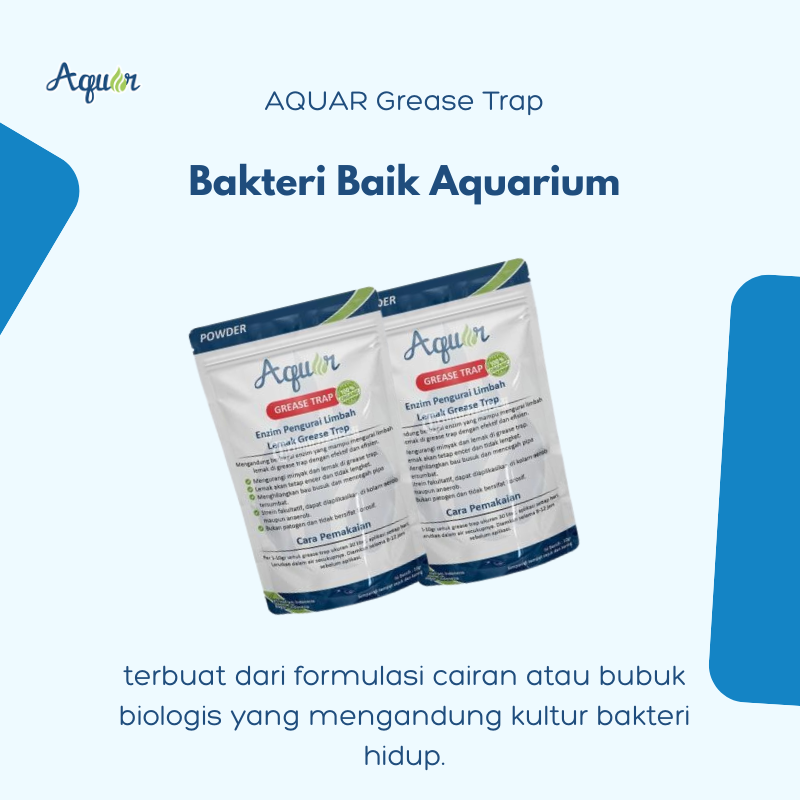 Bakteri Baik Aquarium