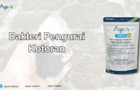 Bakteri Pengurai Kotoran
