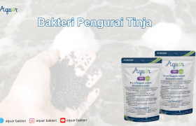 Bakteri Pengurai Tinja