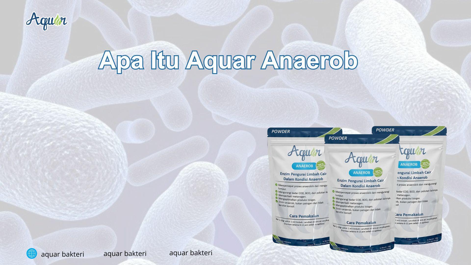 Apa Itu Aquar Anaerob