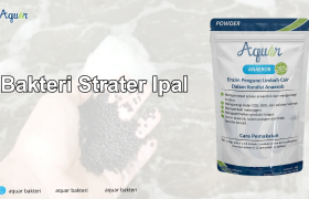 Bakteri Starter Ipal