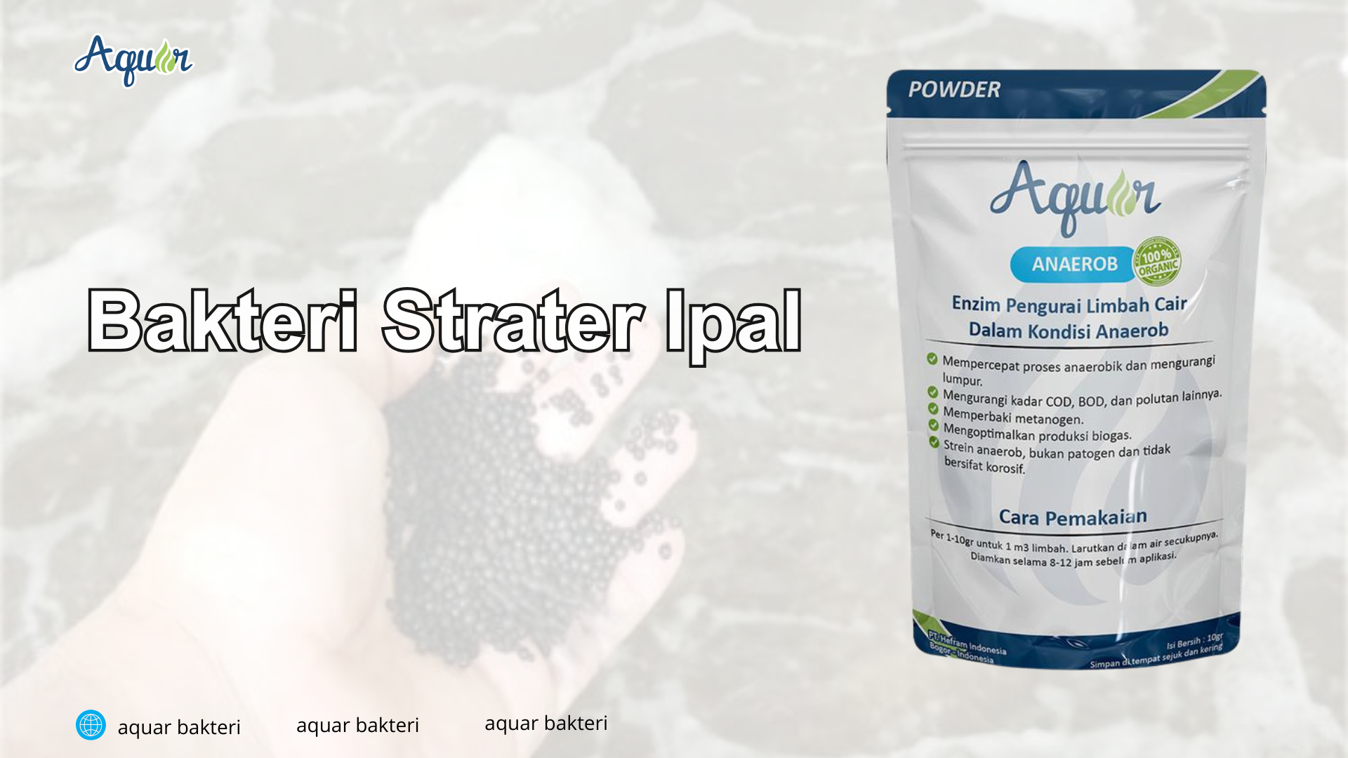 Bakteri Starter Ipal