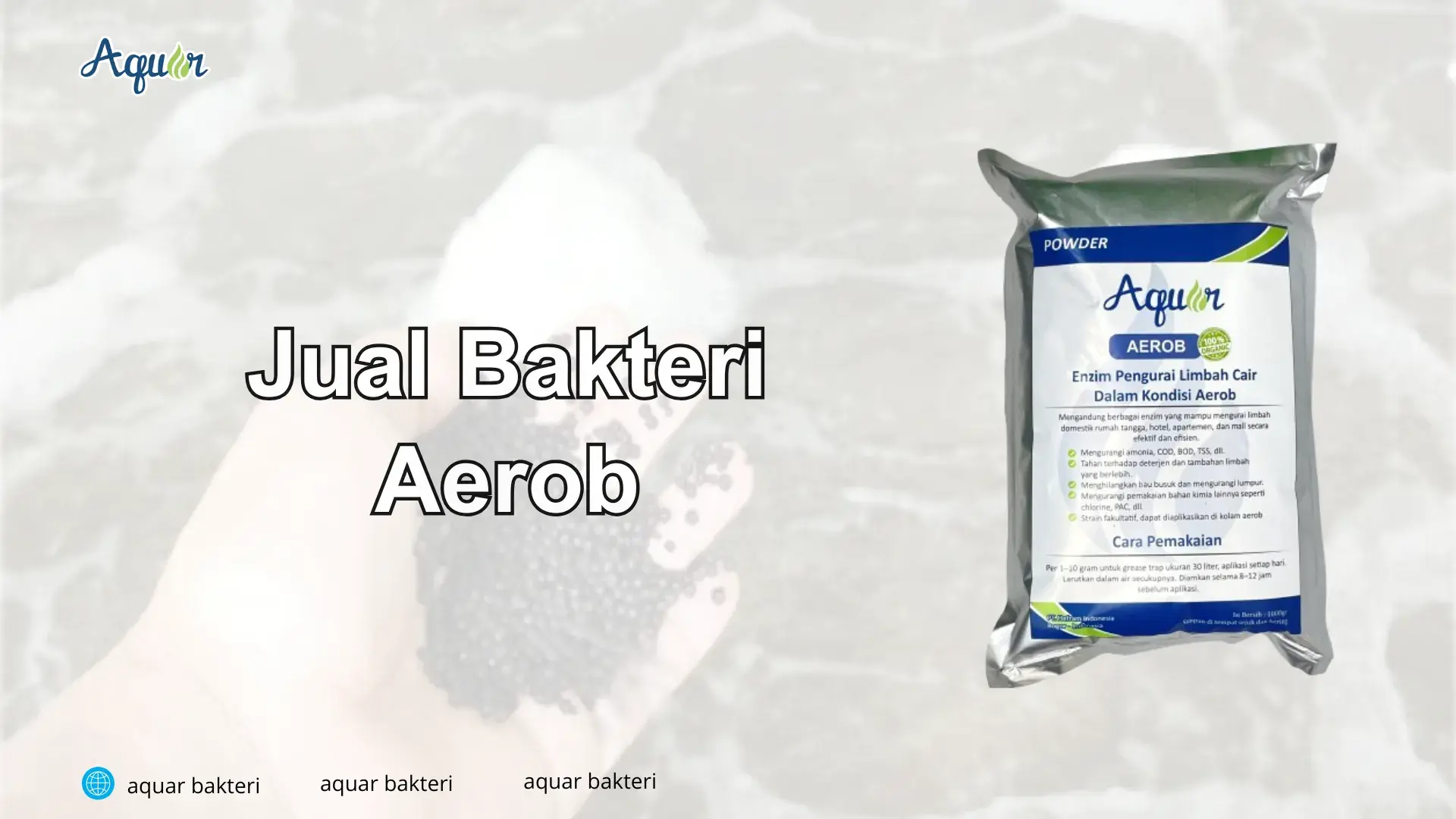 Jual Bakteri Aerob