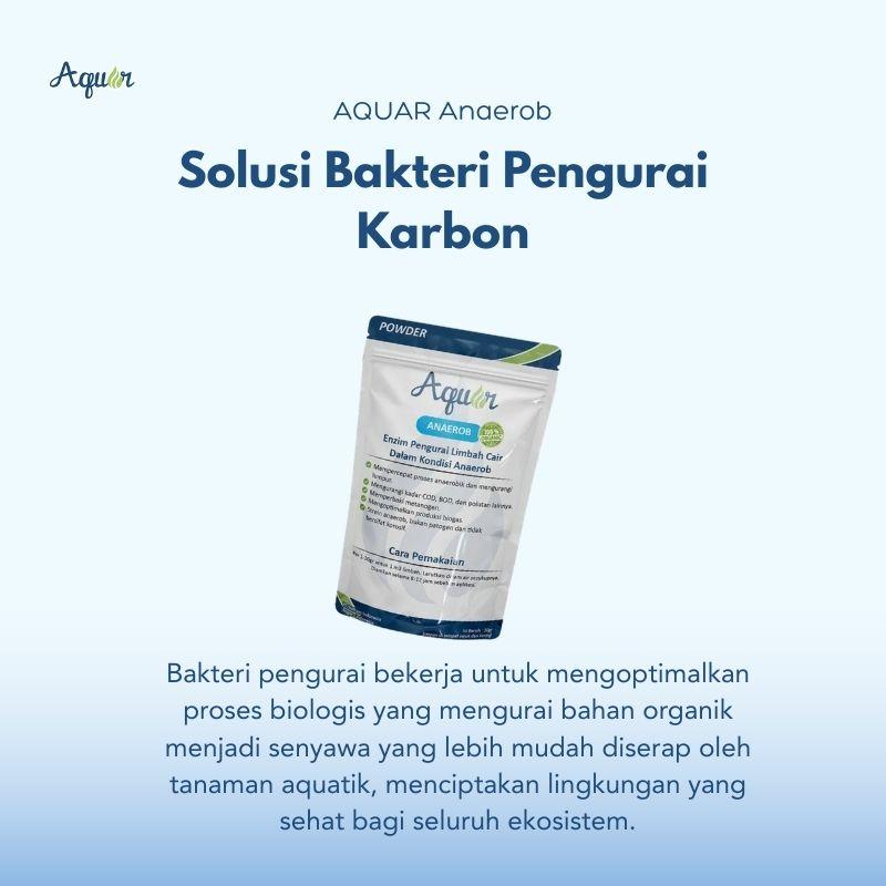Solusi Bakteri Pengurai Karbon