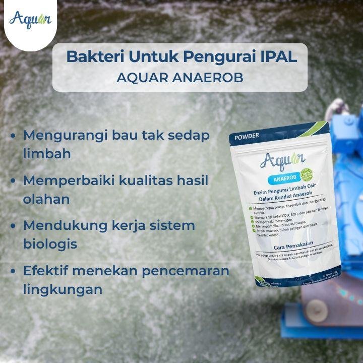 Bakteri Untuk Mengurai IPAL