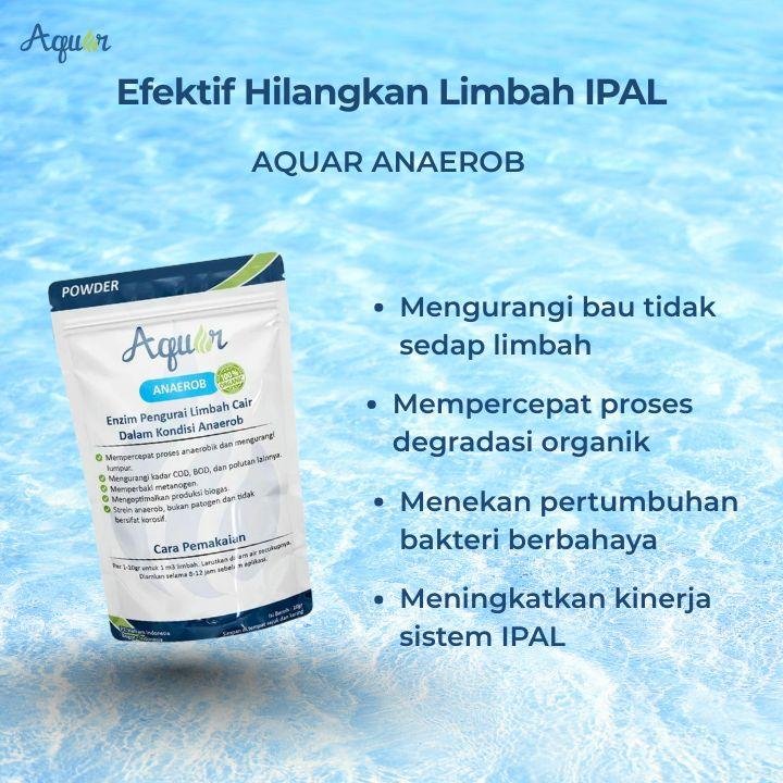 Sangat Efektif Hilangkan Limbah IPAL