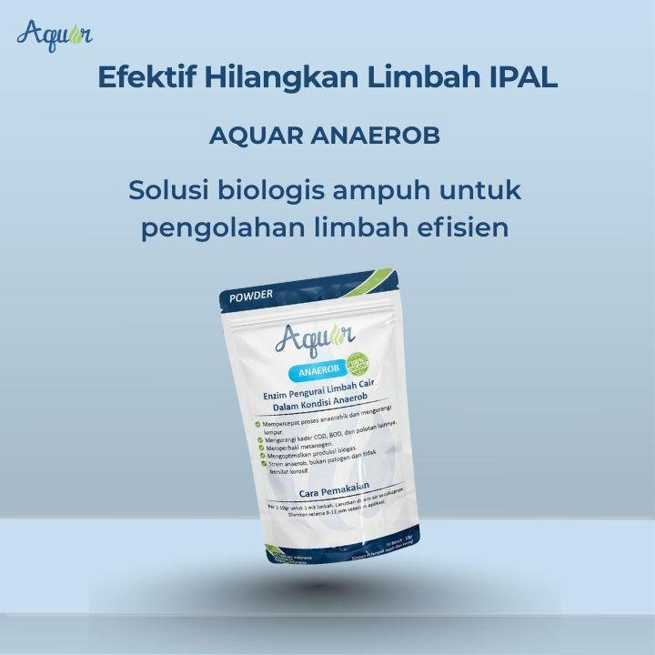 Efektif Hilangkan Limbah IPAL