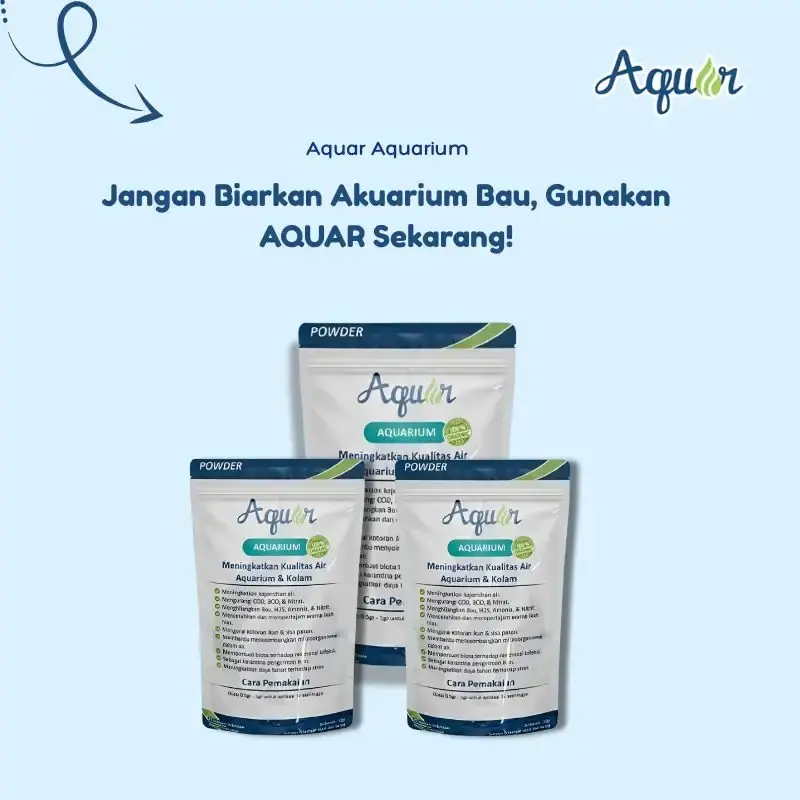 aquar aquarium solusi efektif pengurai kotoran ikan