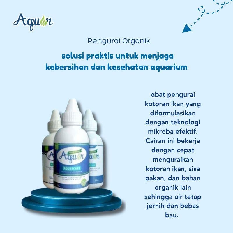 Aquar Aquarium Solusi Hilangkan Bau
