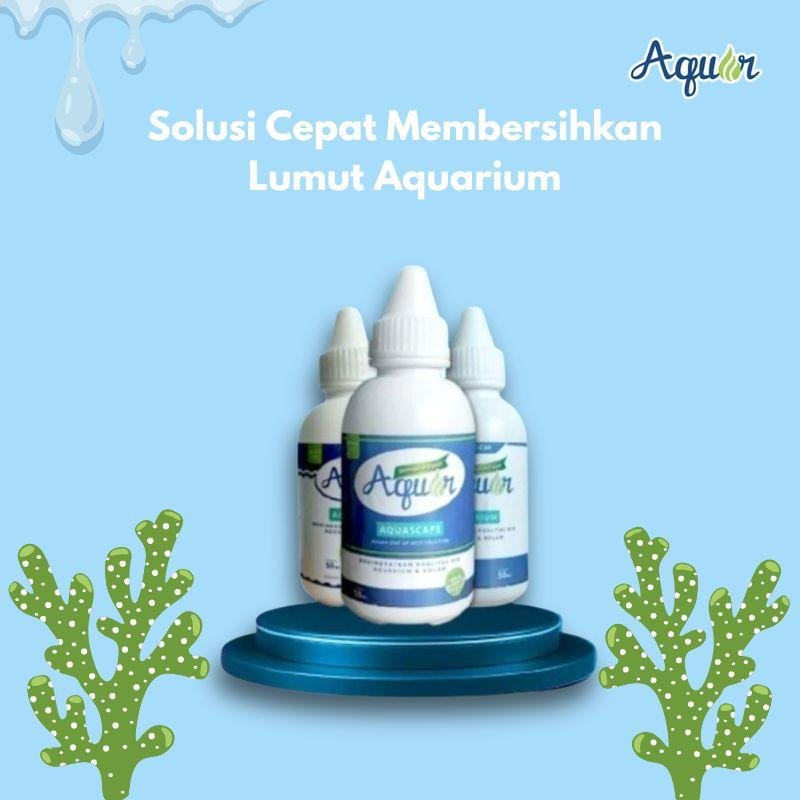 Aquar aquarium