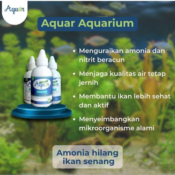 Bakteri Pengurai Amonia Aquarium