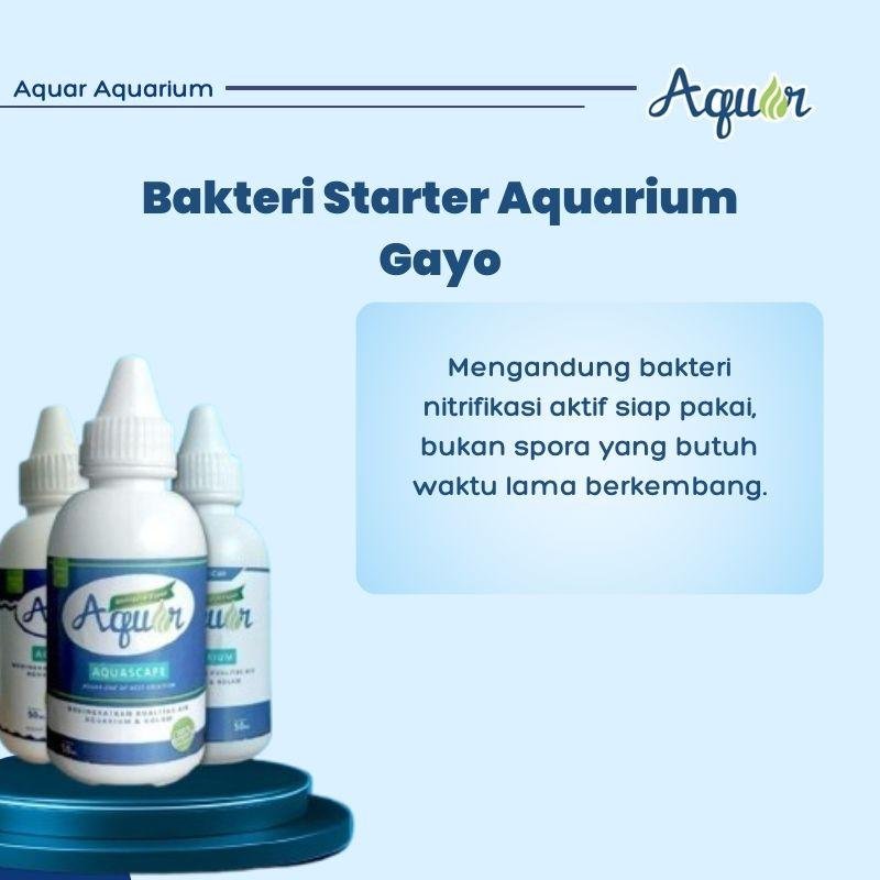 Bakteri Starter-1