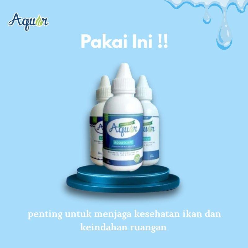 cara cepat membersihkan aquarium