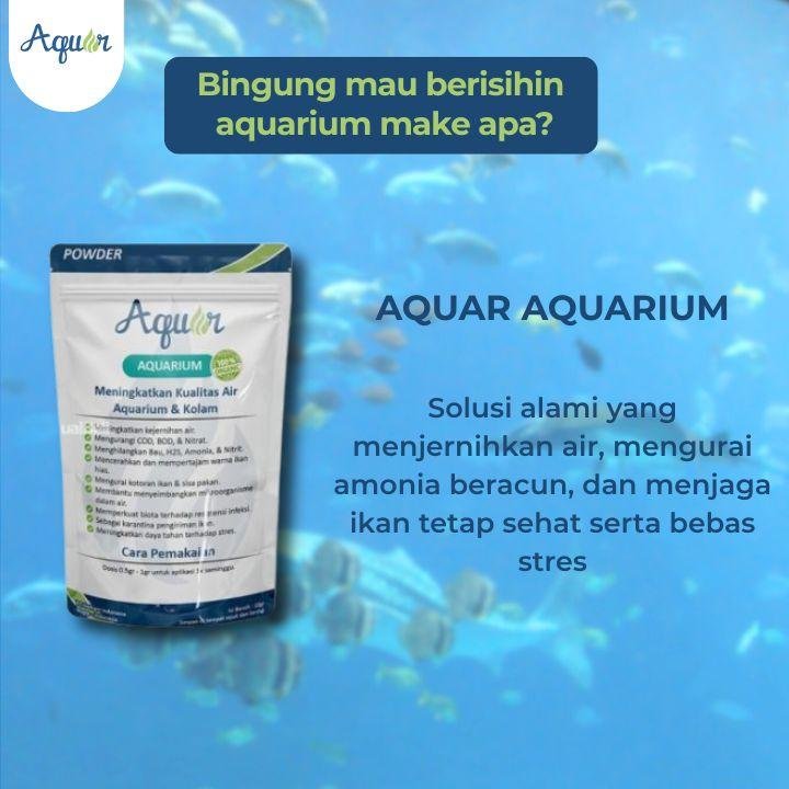 Membersihkan Aquarium Menggunakan Apa