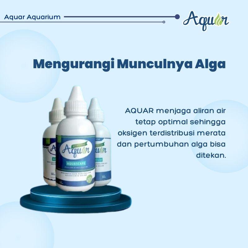 Mengurangi  Alga