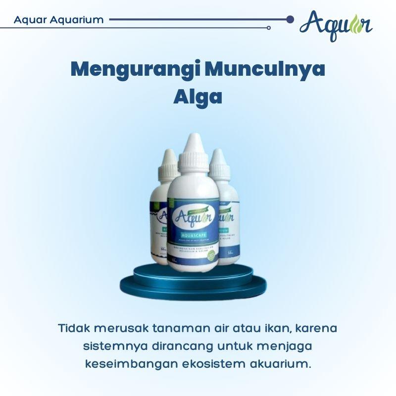 Mengurangi Munculnya Alga