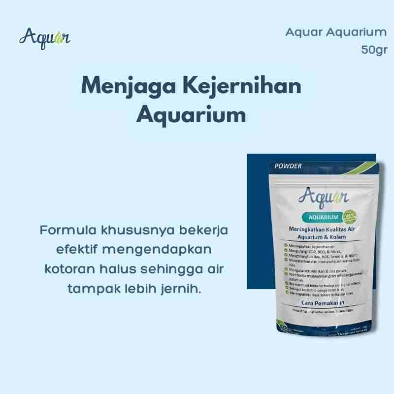 Menjaga  Aquarium