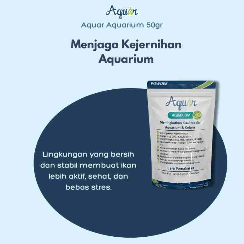 Menjaga Kejernihan Aquarium