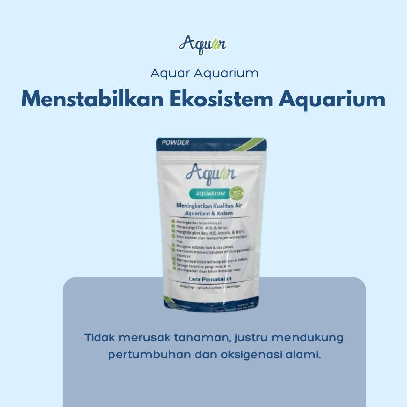 Menstabilkan Aquarium