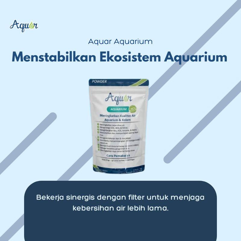 Menstabilkan Ekosistem Aquarium