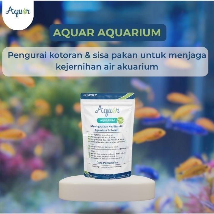 Pembersih Aquarium Alami