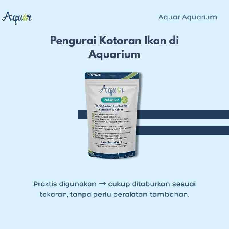 Pengurai Kotoran di Aquarium