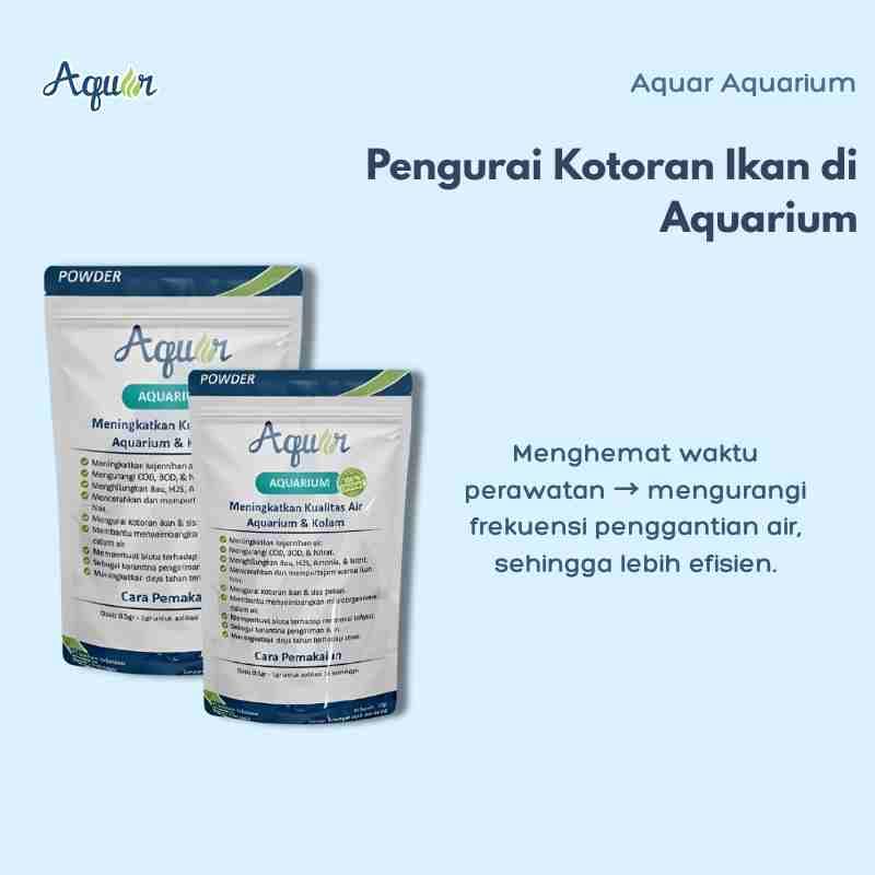 Pengurai Kotoran Ikan Aquarium