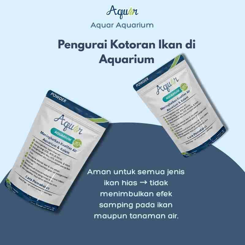 Pengurai Kotoran Ikan di Aquarium