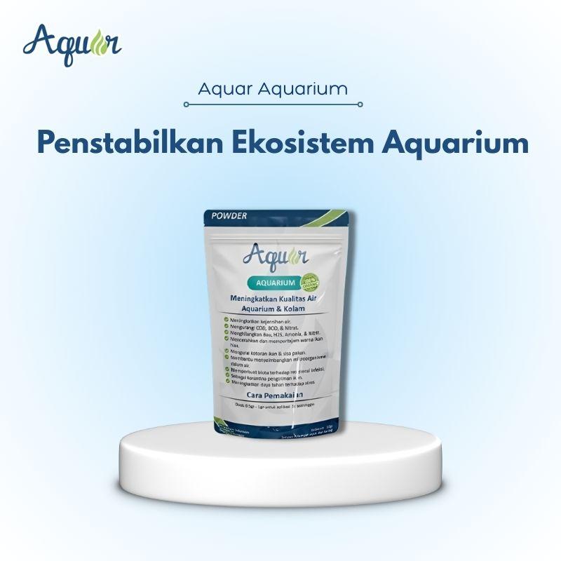 Penstabilkan Aquarium