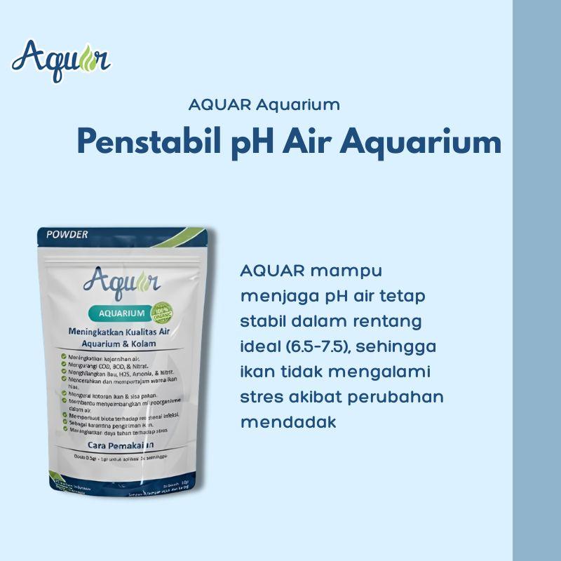 Penstabilkan Ekosistem Aquarium