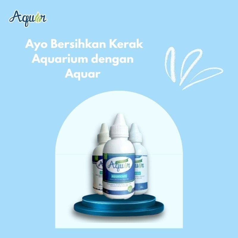 PRODUK MEMBERSIHKAN AQUAR AQUARIUM