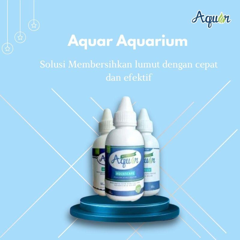 produk solusi pembersih aquarium