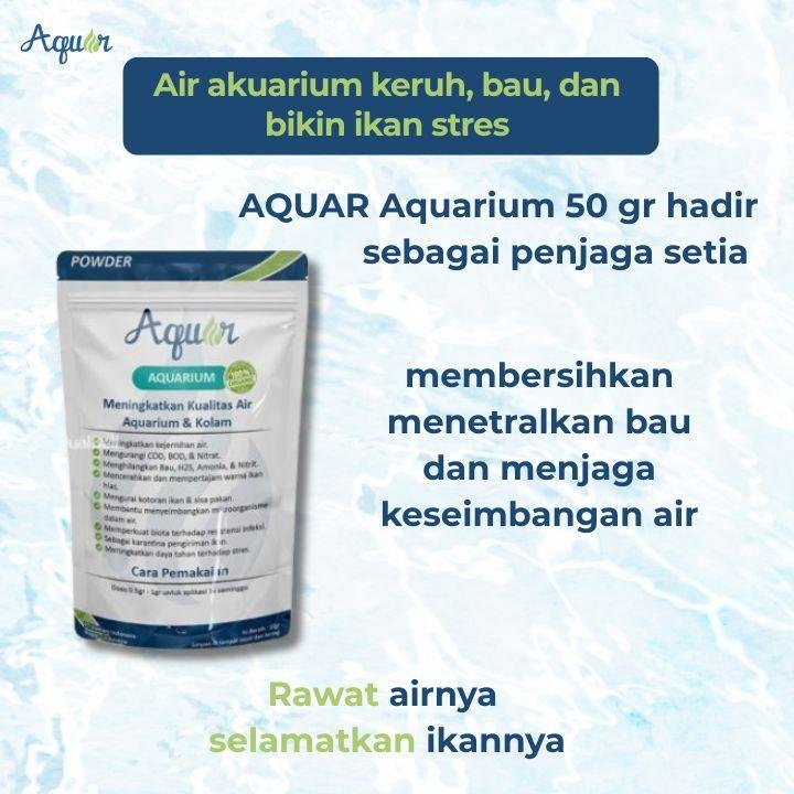 Solusi Bakteri Aquarium Terbaik