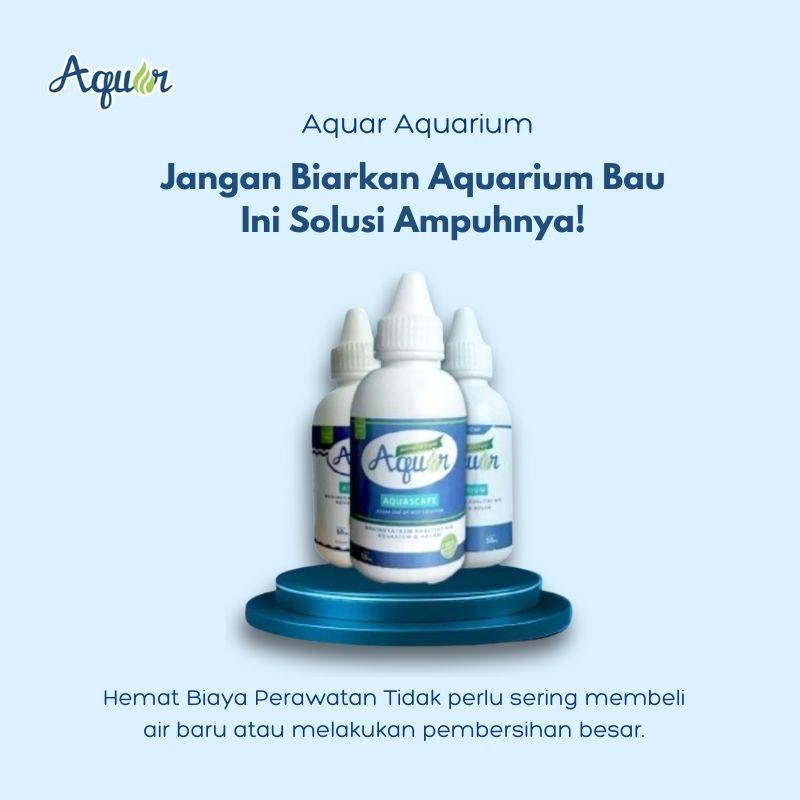 Solusi Cairan Organik