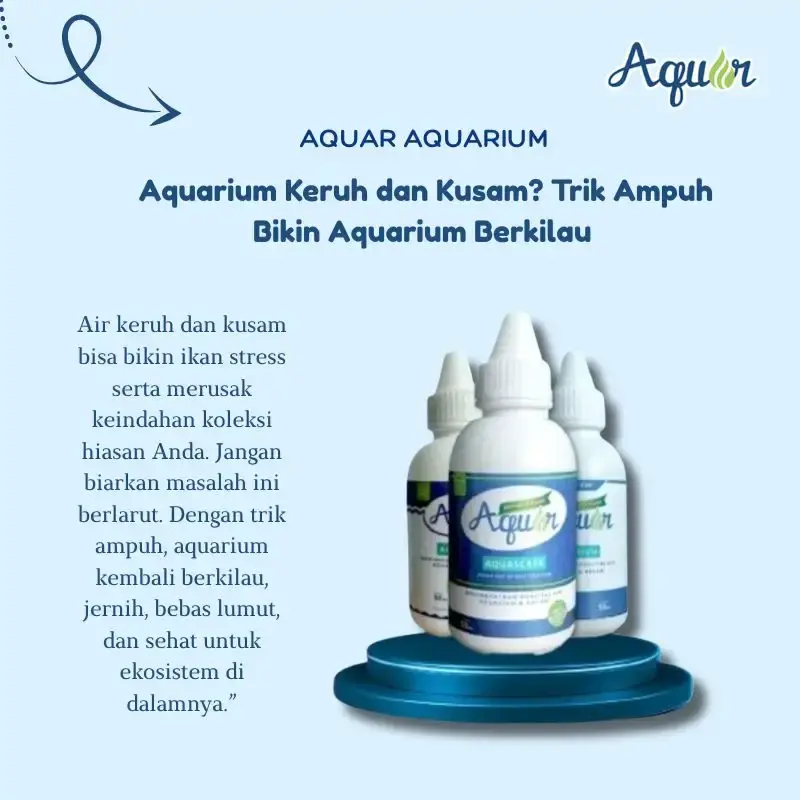 Solusi Kualitas Aquarium Berlumut Aquar Aquarium Berkualitas