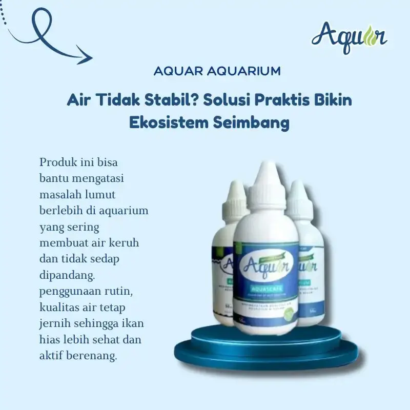 Solusi Kualitas Aquarium Berlumut Aquar Aquarium Terjangkau